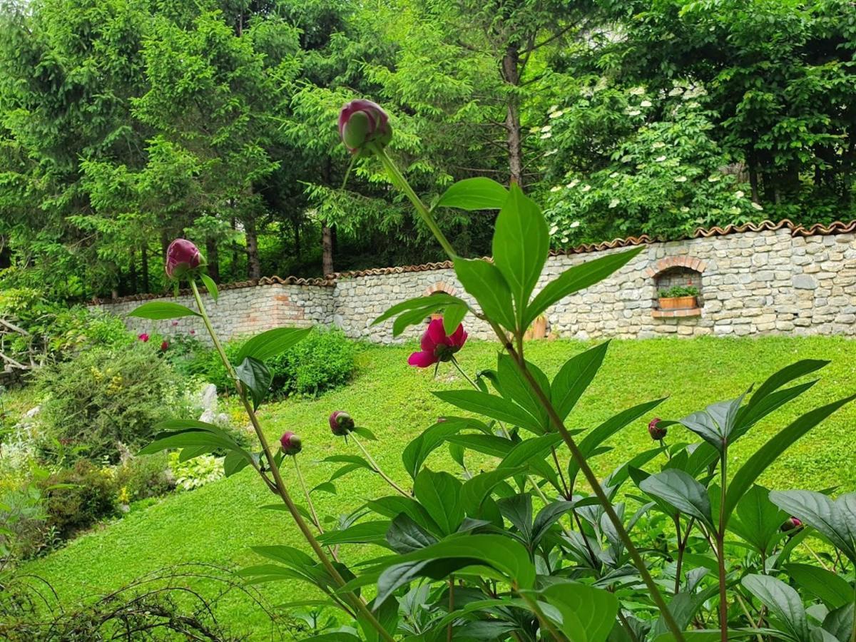 Apartma Maell 1 Most na Soči Buitenkant foto