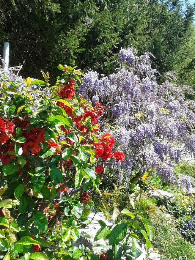 Apartma Maell 1 Most na Soči Buitenkant foto