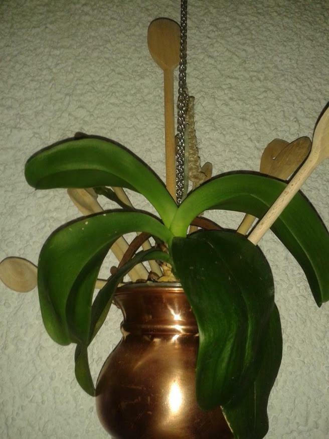 Apartma Maell 1 Most na Soči Buitenkant foto
